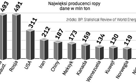 Własne plany wydobywcze na razie na papierze