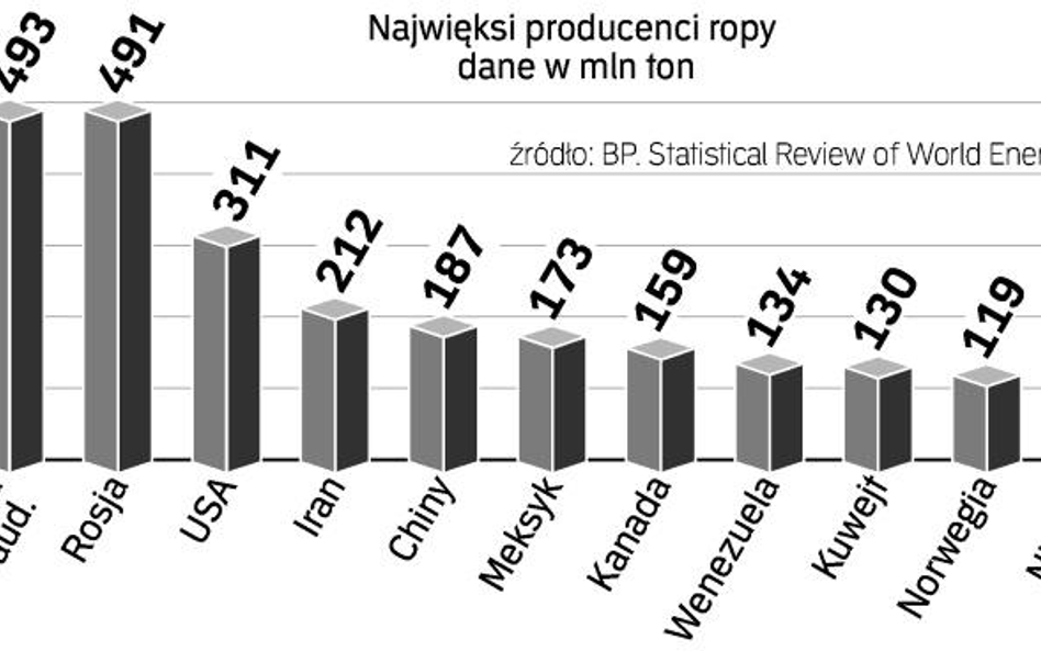 Własne plany wydobywcze na razie na papierze