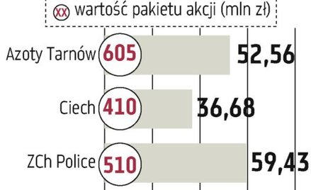 Azoty Tarnów później do prywatyzacji