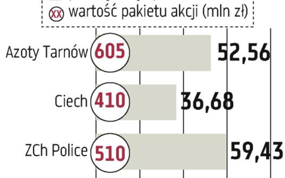 Azoty Tarnów później do prywatyzacji