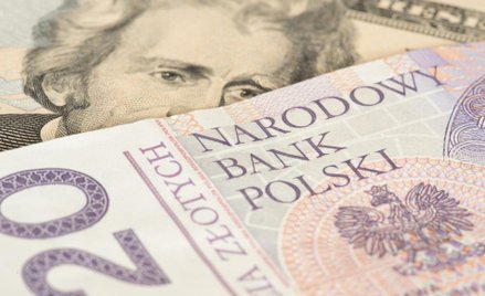 Złoty czy dolar – w banku nie trzyma się ich dla zysku