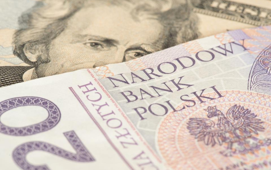 Złoty czy dolar – w banku nie trzyma się ich dla zysku