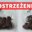 GIS ostrzega przed hasanem. Sztuczny haszysz groźny dla zdrowia i życia