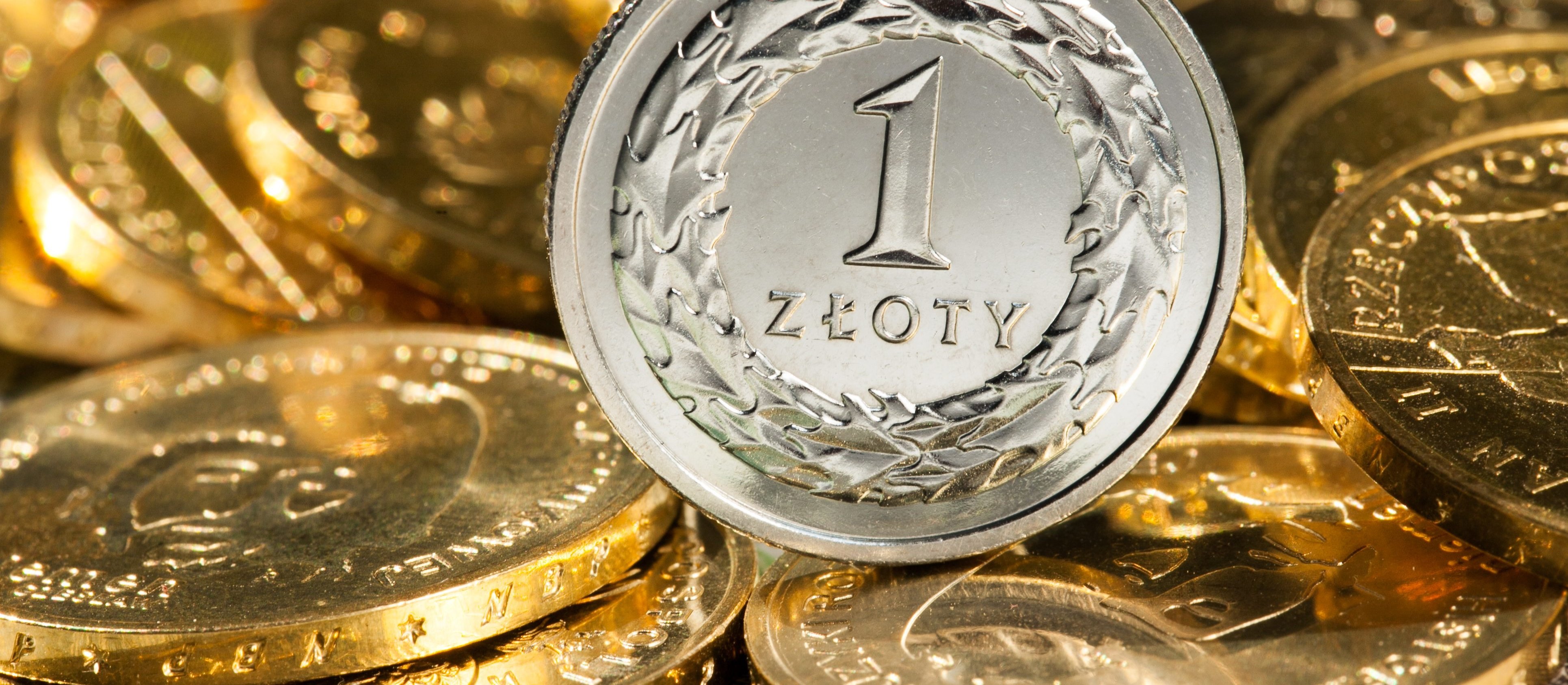 Co dalej z polskim złotym?