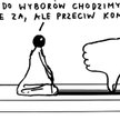 Rysuje Janusz Kapusta - 2 maja