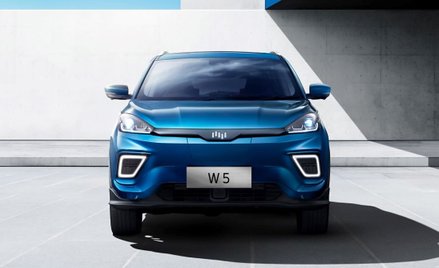 Welmeister W5