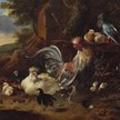 Melchior de Hondecoeter „Kogut i kura z kurczętami i gołębiami”