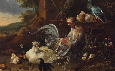 Melchior de Hondecoeter „Kogut i kura z kurczętami i gołębiami”
