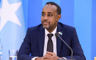 Obywatel Szwecji nominowany na nowego premiera Somalii