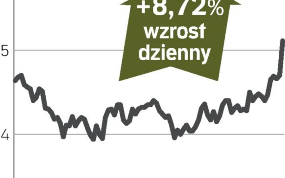 Zwyżki dzięki ożywieniu w Rosji