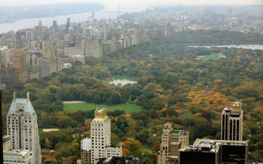 Nowojorski Central Park gdzie jest meta maratonu