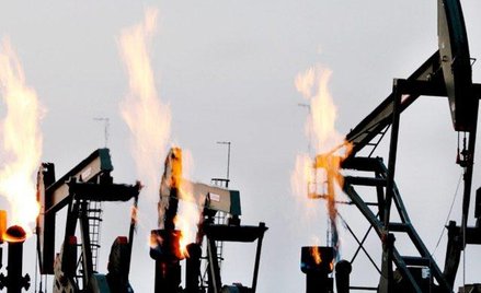Dokument pokazuje na przykładach klimatyczną apokalipsę