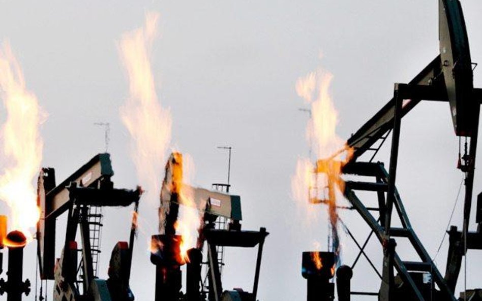 Dokument pokazuje na przykładach klimatyczną apokalipsę