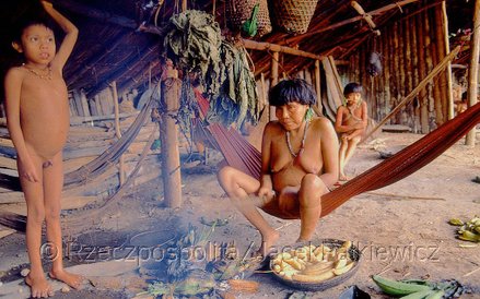 Od pewnego czasu władze w Caracas nie wydają już zezwoleń na kontakty z tubylcami nawet ekspedycjom 