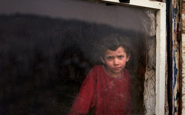 Sąd oddalił zażalenie romskich rodzin, które mieszkały w Limanowej