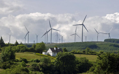 Prokon - operator farm wiatrowych z Niemiec traci na ustawie wiatrakowej