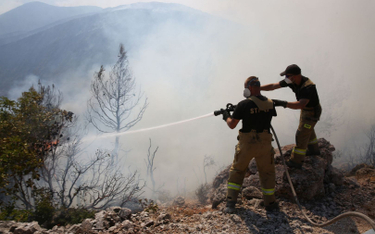 Grecja: Pożar w pobliżu Aten. Walczyli z nim m.in. strażacy z Polski