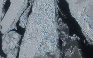 Lodu w Arktyce jest mniej i jest cieńszy niż w poprzednich latach – alarmują naukowcy