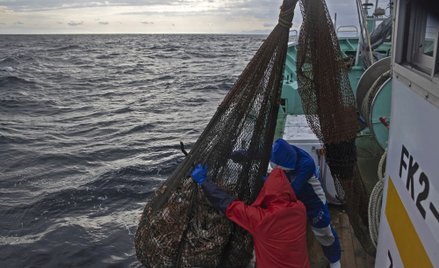 Porzucone sieci rybackie stanowią około 30 procent wszystkich plastikowych odpadów w morzach i ocean