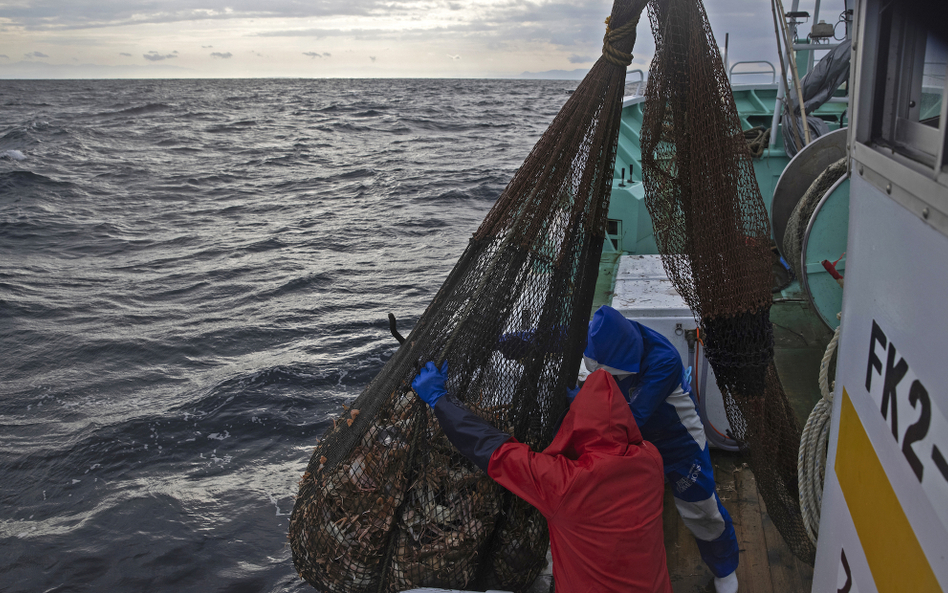 Porzucone sieci rybackie stanowią około 30 procent wszystkich plastikowych odpadów w morzach i ocean