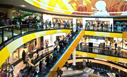 Polska spadła z wyższego konia