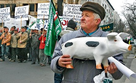 Ceny mięsa kością niezgody