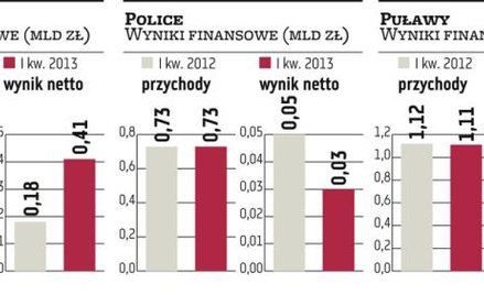 Grupa Azoty silniejsza dzięki przejęciu Puław