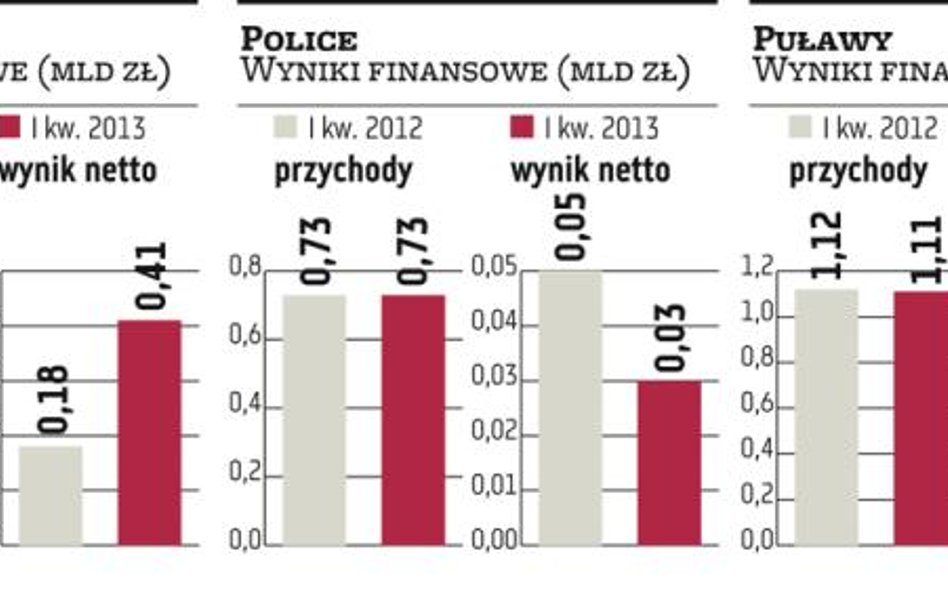 Grupa Azoty silniejsza dzięki przejęciu Puław