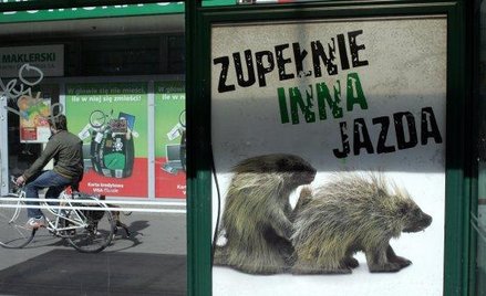 Billboard zawalczy o rynkową ekspozycję