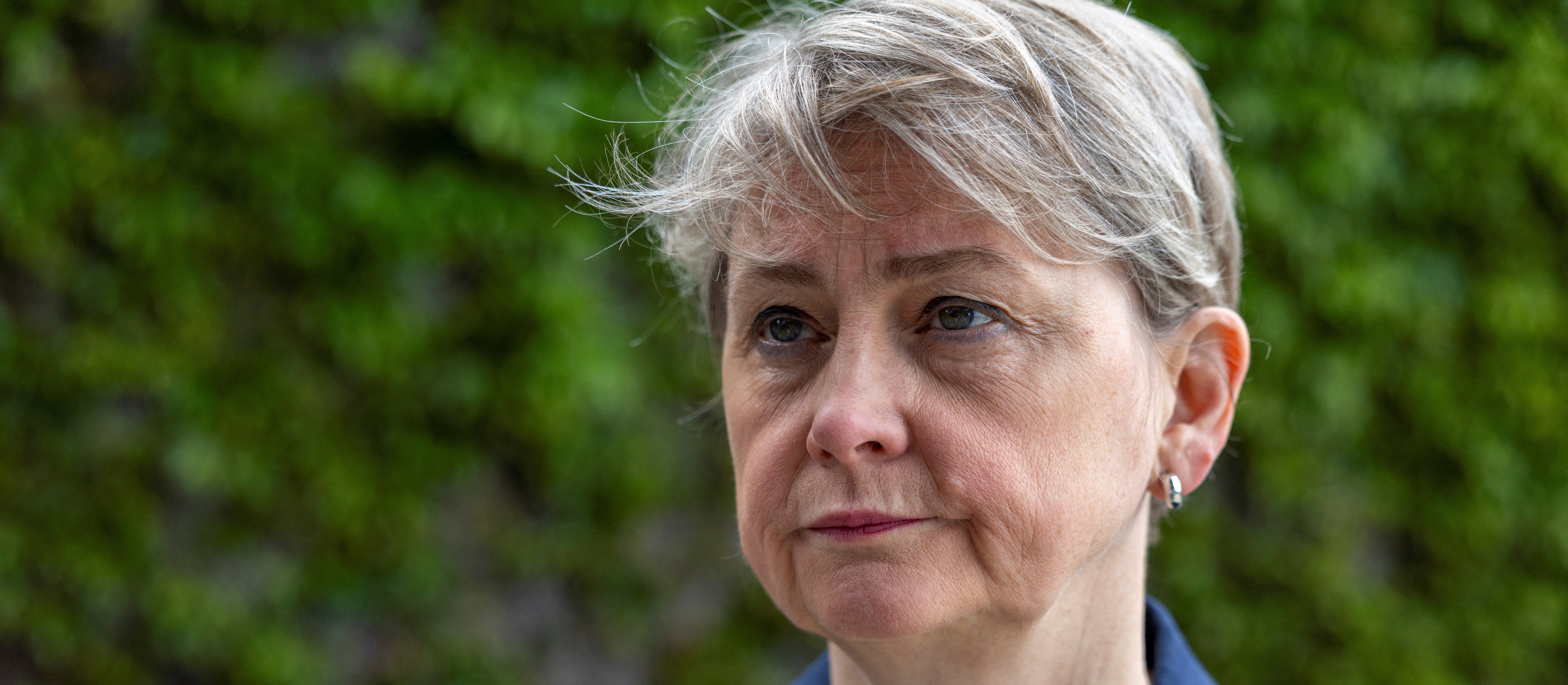 „Falklandy są brytyjskie”. Londyn odpowiada na doniesienia ws. raportu Pentagonu