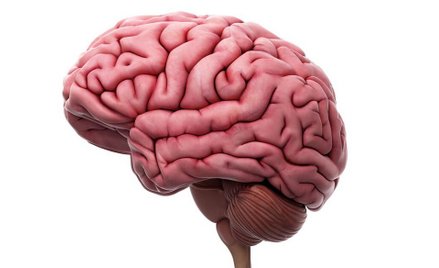 Jak wygrać ze śmiercią mózgu? Pomoże lekarz z Indii?