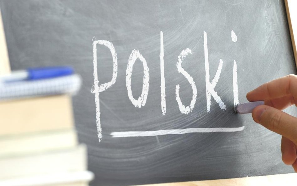 Jaką rolę w języku polskim pełnią zdrobnienia
