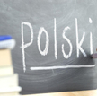 Jaką rolę w języku polskim pełnią zdrobnienia