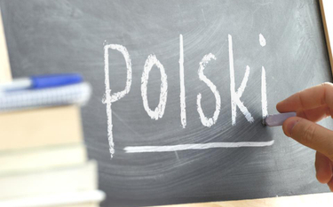 Jaką rolę w języku polskim pełnią zdrobnienia
