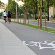 Młody cyklista już nie pojeździ bez karty rowerowej. Grożą za to wysokie mandaty