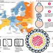 Niebezpieczeństwo, którego nie jesteśmy świadomi