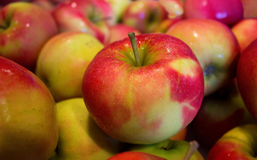 Szwedzka sieć sklepów wycofuje ze sprzedaży polskie jabłka z uwagi na pestycydy