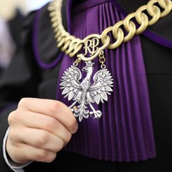 Maciej Ferek: Jak łapać króliczka, żeby go nie złapać