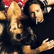 CALIFORNICATION 4