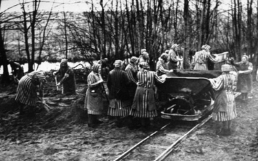 Odnaleziono szczątki polskich więźniarek z obozu w Ravensbruck