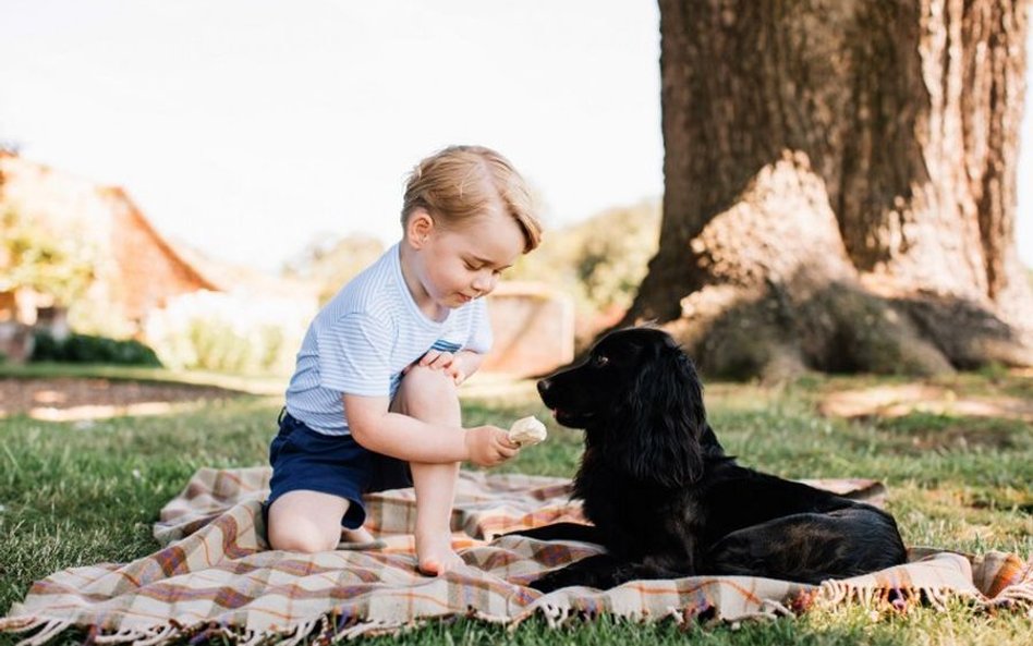 Pałac Kensington pokazuje zdjęcia księcia George'a