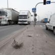 Wykonywanie transportu drogowego bez zezwolenia na to lub wymaganej licencji może kosztować przedsię