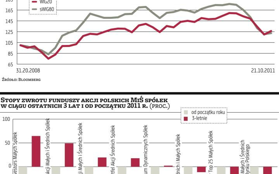 TFI liczą na walory małych i średnich firm