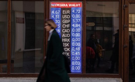 Naszej walucie daleko było w 2022 r. od stabilności. – Euro może być znacznie bezpieczniejsze, niż b