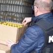 Krajowa Administracja Skarbowa na skraju upadku?