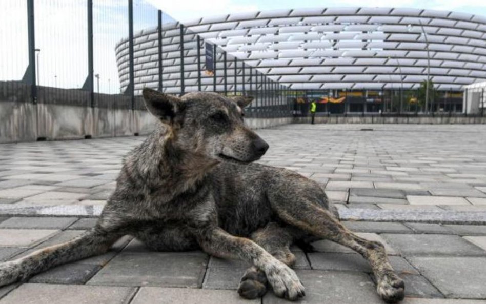 Stadion Olimpijski w Baku w środę będzie gościł finał Ligi Europy, a w przyszłym roku odbędą się na 