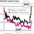 Mediatel, Magna Polonia: Pogłoski o inwestorze dla hurtownika