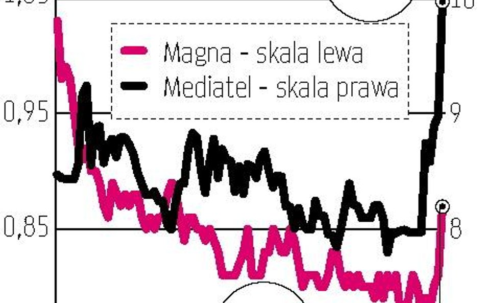 Mediatel, Magna Polonia: Pogłoski o inwestorze dla hurtownika