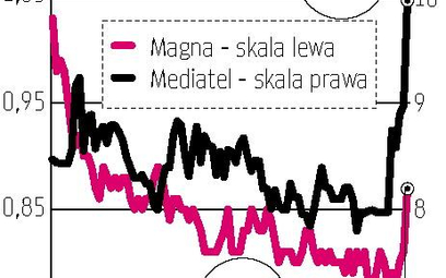 Mediatel, Magna Polonia: Pogłoski o inwestorze dla hurtownika