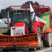 Srock, protest rolników z AgroUnii.